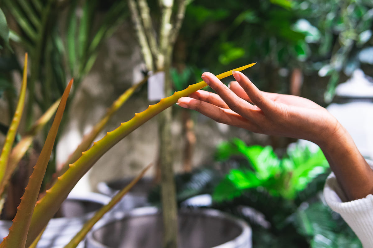 소상공인 정책자금 지원한도