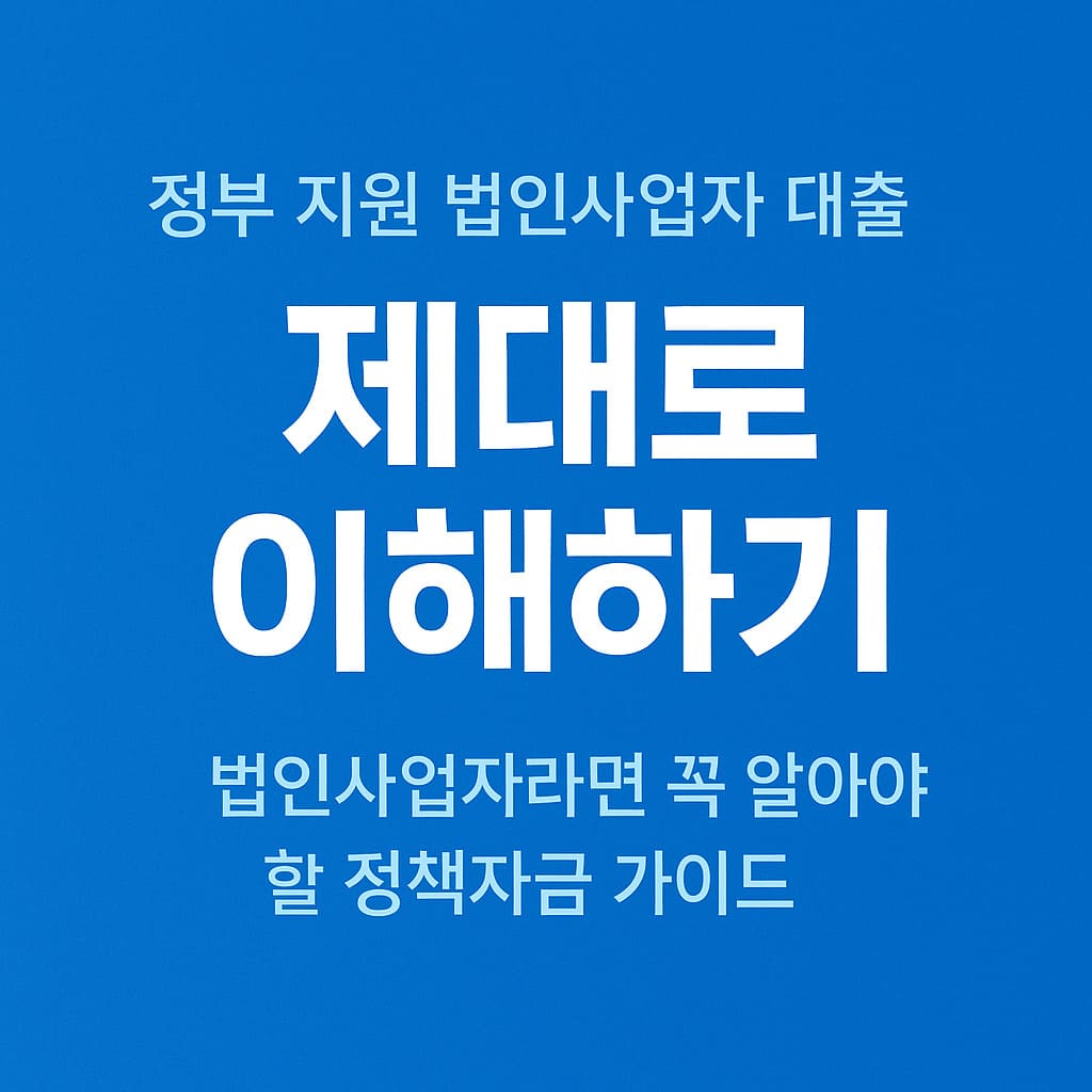 정부 지원 법인사업자 대출
