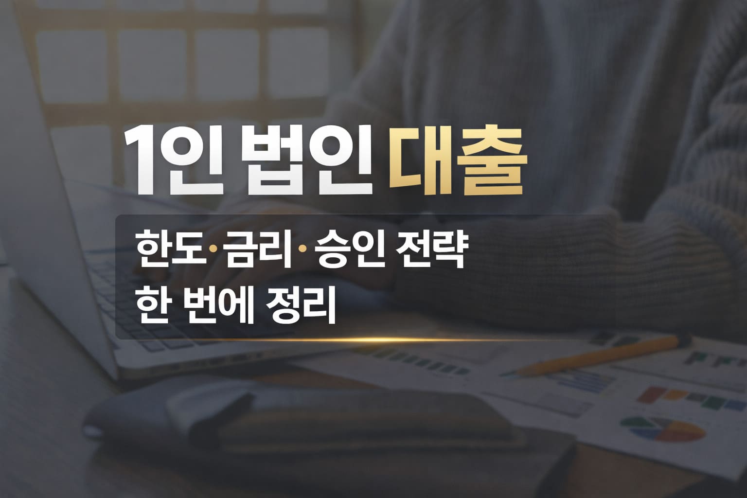1인 법인 대출