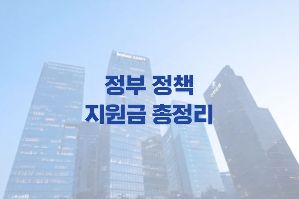 정부 정책 지원금
